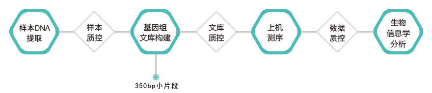 全基因组重测序-技术路线-腾博会官网基因 全基因组重测序-技术路线-腾博会官网基因