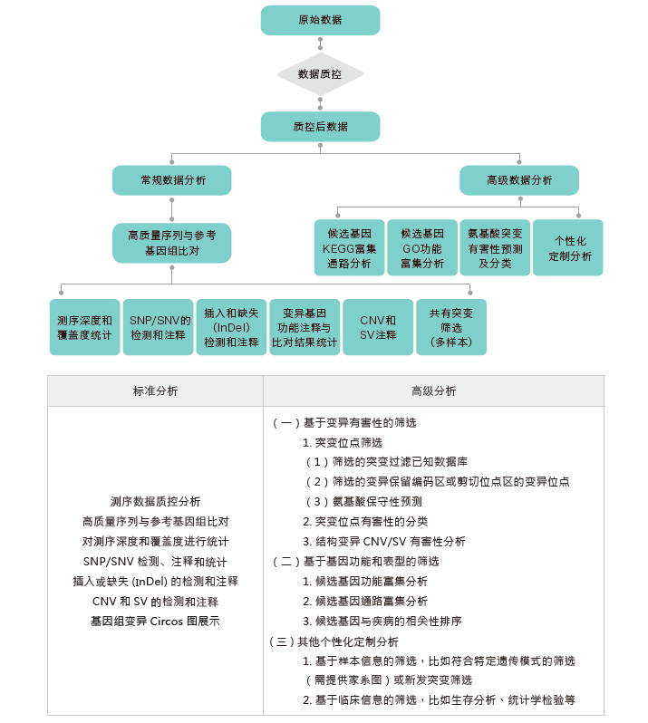 全基因组重测序-生信分析流程-腾博会官网基因