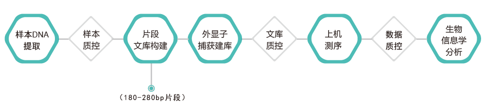 全外显子测序-技术路线-腾博会官网基因 全外显子测序-技术路线-腾博会官网基因