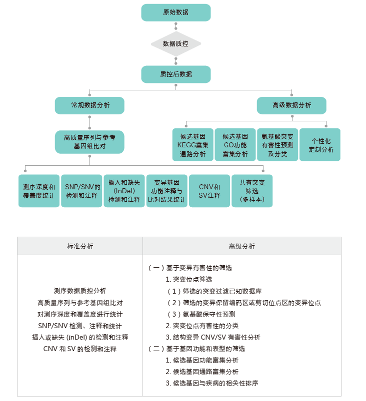 全外显子测序-生信分析流程-腾博会官网基因 全外显子测序-生信分析流程-腾博会官网基因