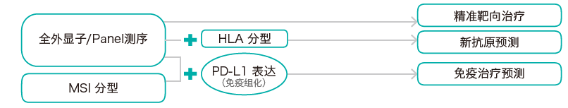目标区域靶向捕获测序-肿瘤突变分析检测方法-腾博会官网基因