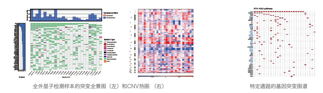 目标区域靶向捕获测序-部分结果展示-腾博会官网基因