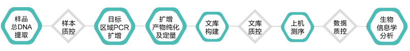 16S 18S ITS扩增子-技术路线-腾博会官网基因 16S 18S ITS扩增子-技术路线-腾博会官网基因
