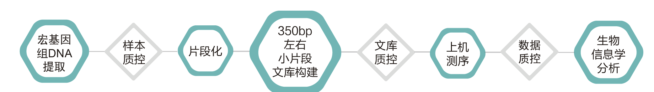 宏基因组测序-技术路线-腾博会官网基因 宏基因组测序-技术路线-腾博会官网基因