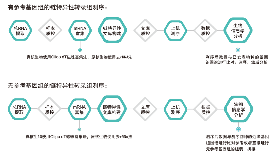 转录组测序-技术路线-腾博会官网基因