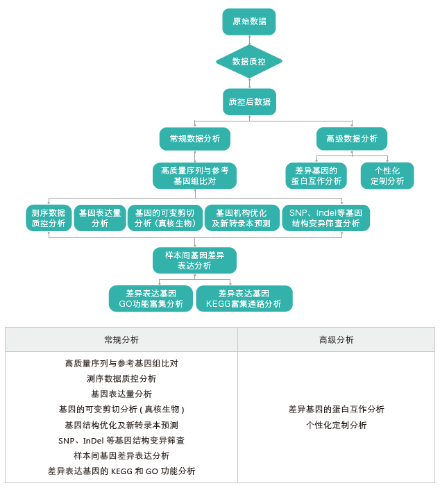 转录组测序-生信分析流程（有参）-腾博会官网基因
