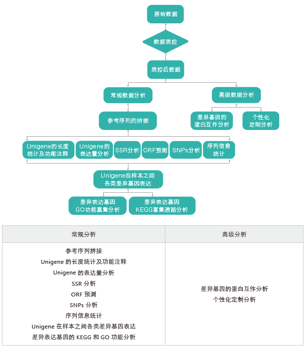 转录组测序-生信分析流程（无参）-腾博会官网基因