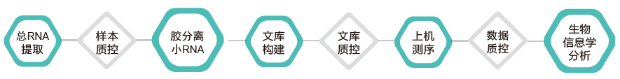 小RNA（small RNA）测序-技术路线-腾博会官网基因