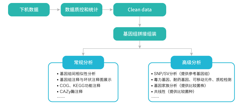 微生物基因组重测序-分析-腾博会官网基因