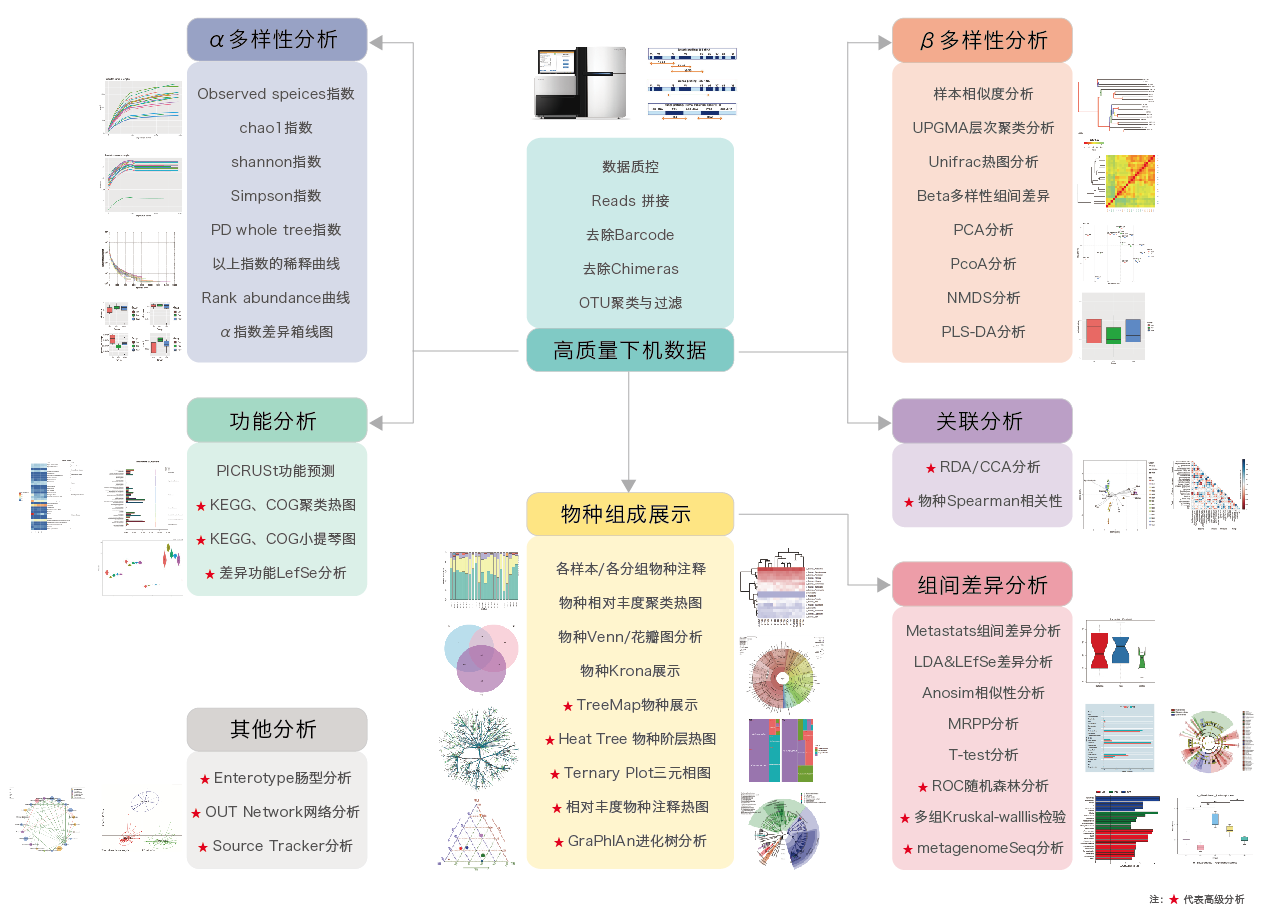 16S/18S/ITS扩增子测序-生信分析流程-腾博会官网基因 16S/18S/ITS扩增子测序-生信分析流程-腾博会官网基因