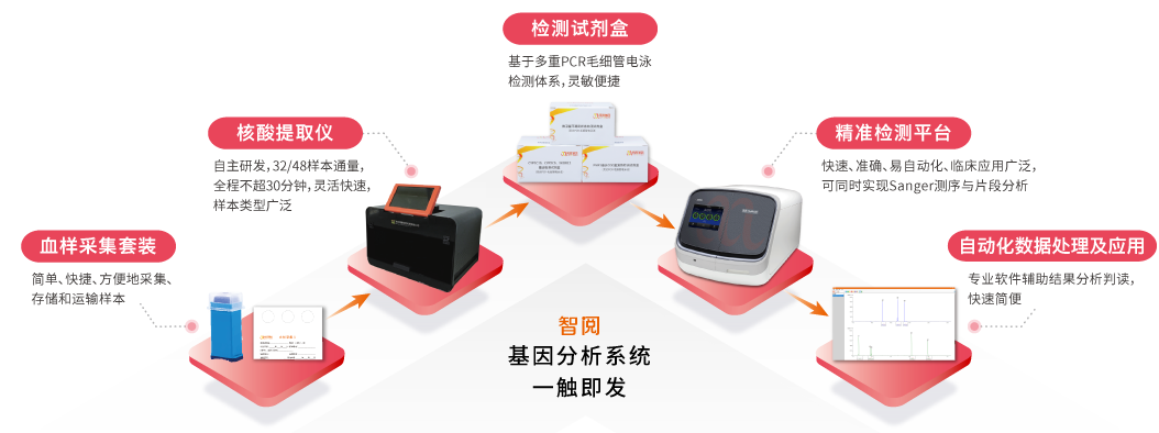 智阅基因分析系统-腾博会官网基因