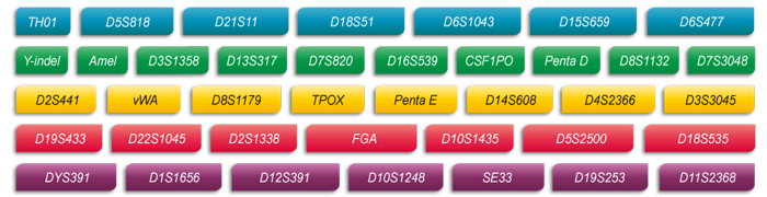 腾博会官网基因Microreader™ 36A ID System位点