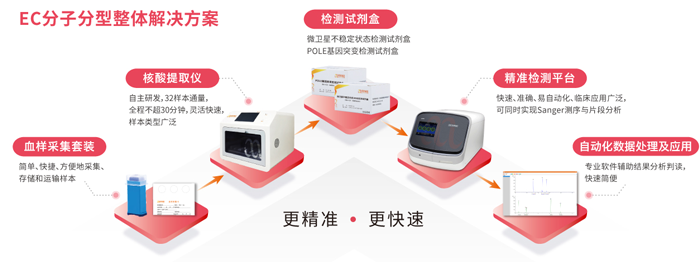 腾博会官网基因子宫内膜癌分子分型检测整体解决方案