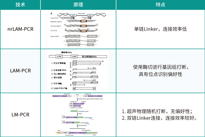 慢病毒随机插入的位点评估方法_腾博会官网基因_慢病毒插入位点检测
