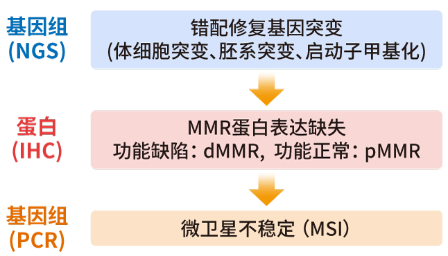 MSI/MMR检测方法_腾博会官网基因
