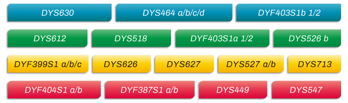 MicroreaderTM-RM-Y-ID-System位点信息_家系排查中如何运用好RM Y-STR?_腾博会官网基因 MicroreaderTM-RM-Y-ID-System位点信息_家系排查中如何运用好RM Y-STR?_腾博会官网基因